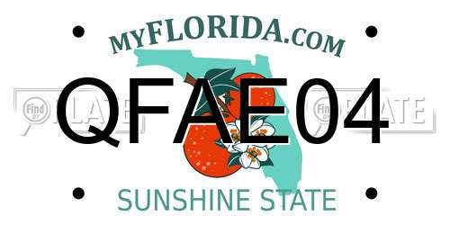 QFAE04 Florida License Plate