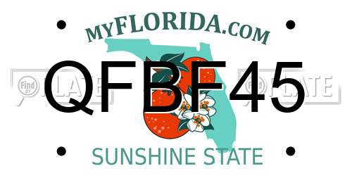 QFBF45 Florida License Plate