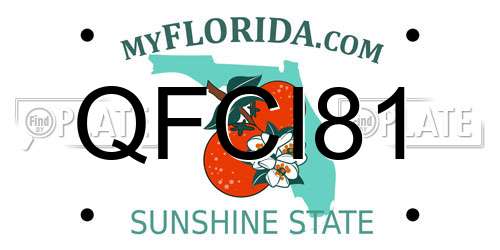 QFCI81 Florida License Plate