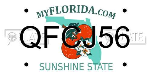 QFCJ56 Florida License Plate