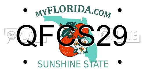 QFCS29 Florida License Plate