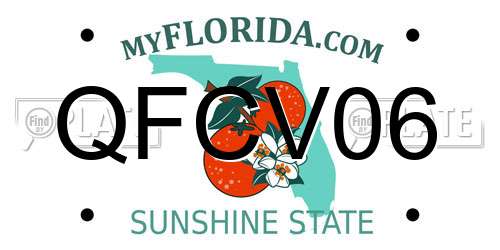 QFCV06 Florida License Plate