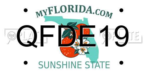 QFDE19 Florida License Plate