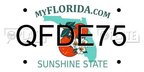 QFDE75 Florida License Plate