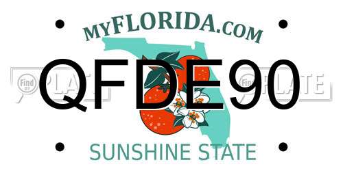 QFDE90 Florida License Plate