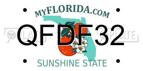 QFDF32 Florida License Plate