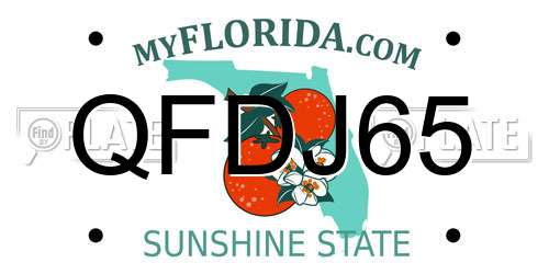 QFDJ65 Florida License Plate