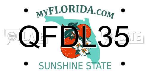 QFDL35 Florida License Plate