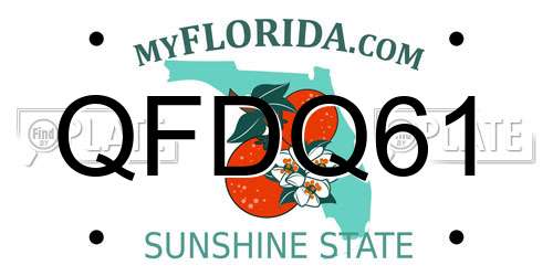 QFDQ61 Florida License Plate