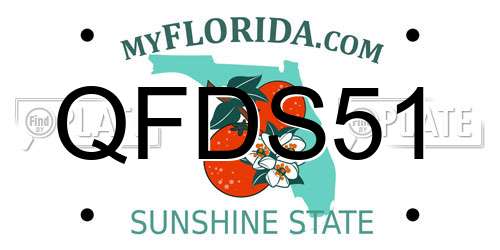 QFDS51 Florida License Plate
