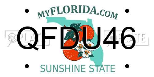 QFDU46 Florida License Plate