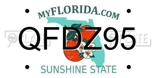 QFDZ95 Florida License Plate