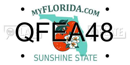 QFEA48 Florida License Plate