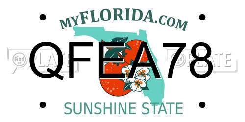 QFEA78 Florida License Plate