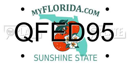 QFED95 Florida License Plate