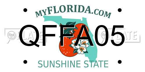 QFFA05 Florida License Plate