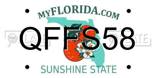 QFFS58 Florida License Plate