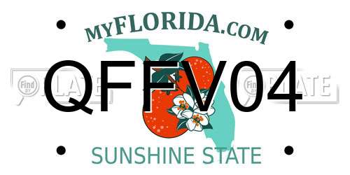QFFV04 Florida License Plate