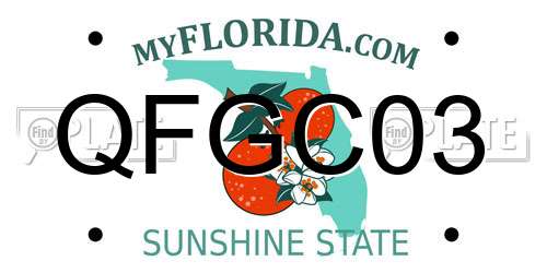 QFGC03 Florida License Plate