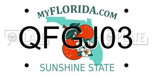 QFGJ03 Florida License Plate