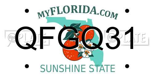 QFGQ31 Florida License Plate