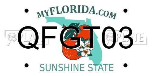 QFGT03 Florida License Plate