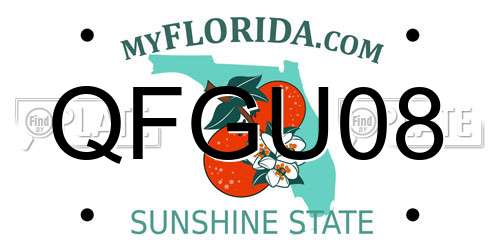 QFGU08 Florida License Plate