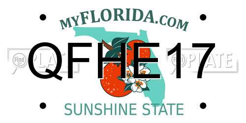 QFHE17 Florida License Plate