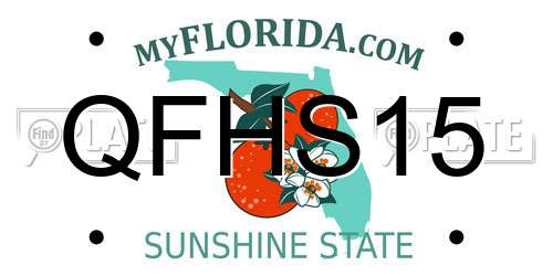QFHS15 Florida License Plate