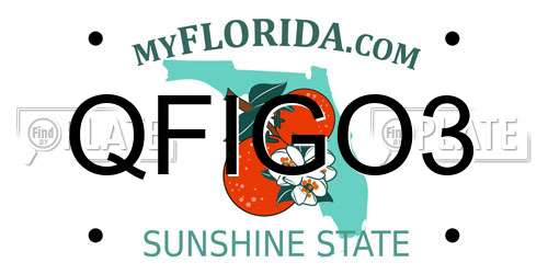 QFIGO3 Florida License Plate