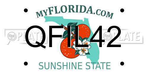 QFIL42 Florida License Plate
