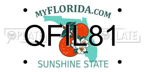 QFIL81 Florida License Plate