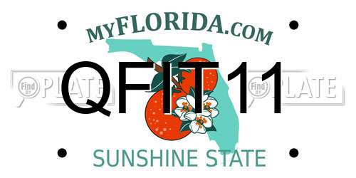 QFIT11 Florida License Plate