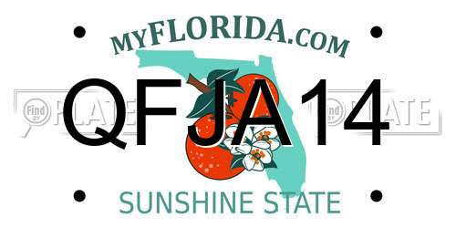 QFJA14 Florida License Plate