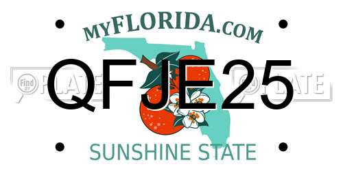 QFJE25 Florida License Plate