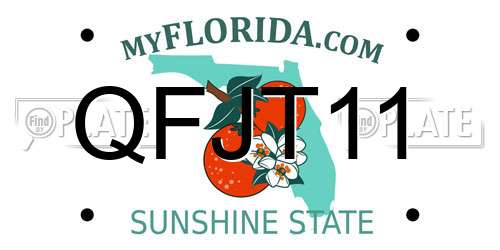 QFJT11 Florida License Plate
