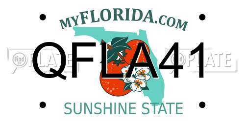 QFLA41 Florida License Plate