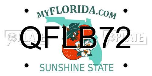 QFLB72 Florida License Plate