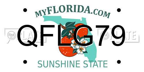 QFLG79 Florida License Plate