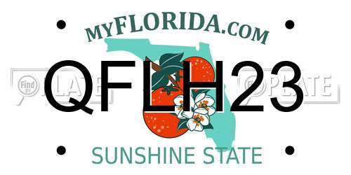 QFLH23 Florida License Plate