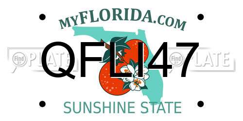 QFLI47 Florida License Plate