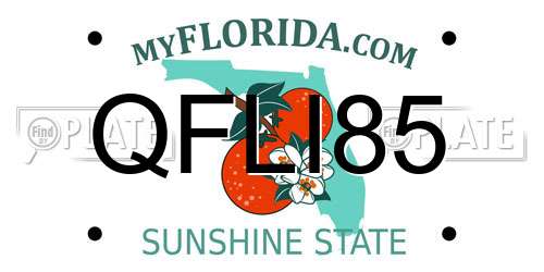 QFLI85 Florida License Plate