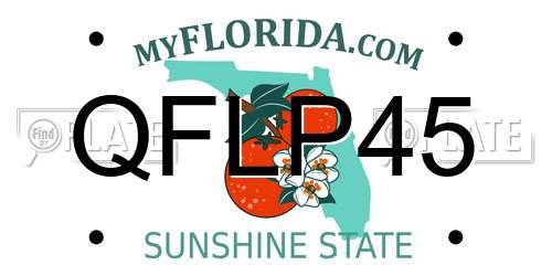 QFLP45 Florida License Plate