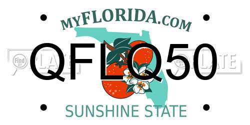 QFLQ50 Florida License Plate