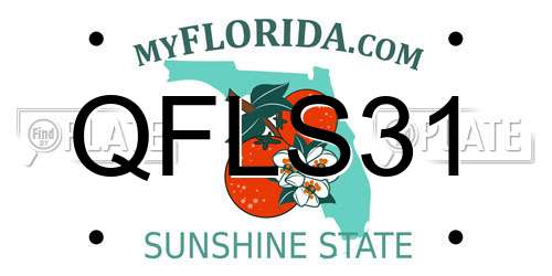 QFLS31 Florida License Plate