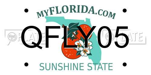 QFLY05 Florida License Plate