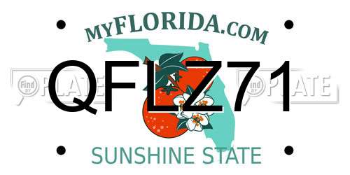 QFLZ71 Florida License Plate