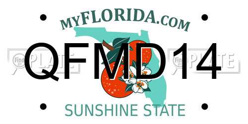 QFMD14 Florida License Plate