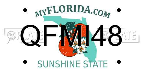 QFMI48 Florida License Plate