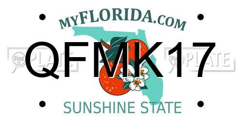 QFMK17 Florida License Plate